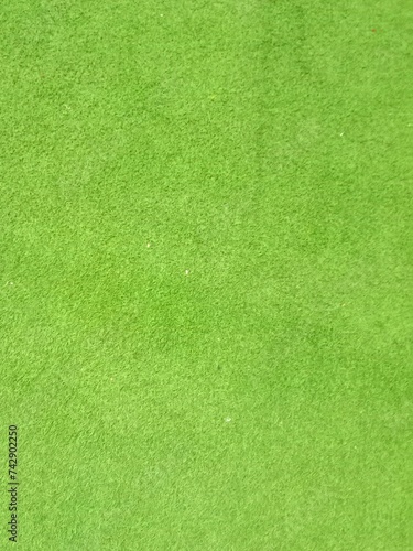 Green grass texture. Beautiful grass field © Beauty99