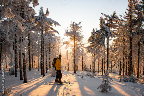 Scenery view on male skier stands between huge fir trees covered with snow, at sunny day and turns over his shoulder to camera