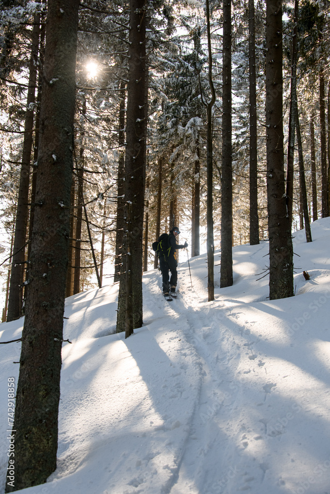 Rear view on male traveler with backpack in fir snow forest. Winter trip Rear view on male traveler with backpack in fir snow forest. Winter trip