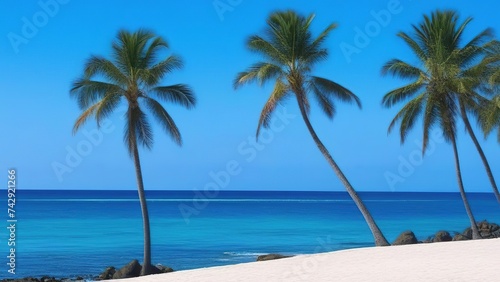 tropical beach landscape. summer coast  place to relax  palm trees  white sand  sunny sky  beautiful beach with palm trees