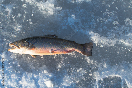 Ice fishing fresh fish trout, winter activities, and ice fishing equipment
