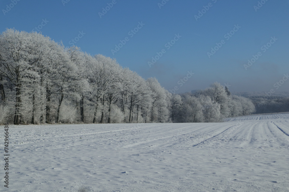 Obraz premium Paysage enneigé - Snowy landscape Paysage enneigé - Snowy landscape 