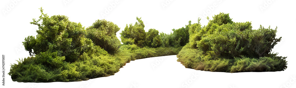 Green garden bushes cut out Green garden bushes cut out
