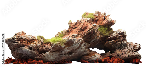 Fototapeta Naklejka Na Ścianę i Meble -  Heavy reef rock cut out