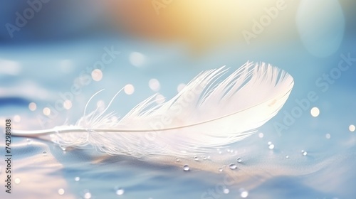 White airy soft bird feather with clean transparent morning dew or rain drops of water on smooth bokeh sun light macro. Beautiful animal hair.
