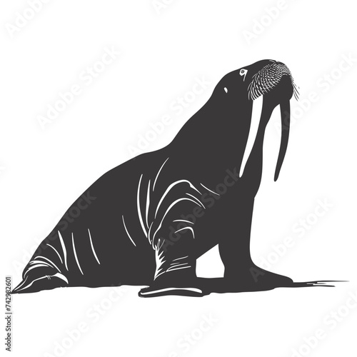 Silhouette walrus animal black color only full body