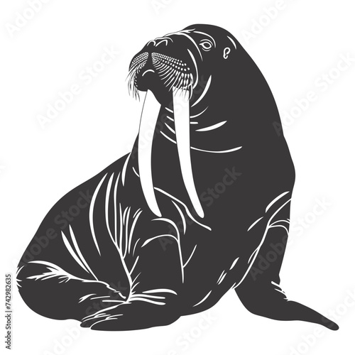 Silhouette walrus animal black color only full body