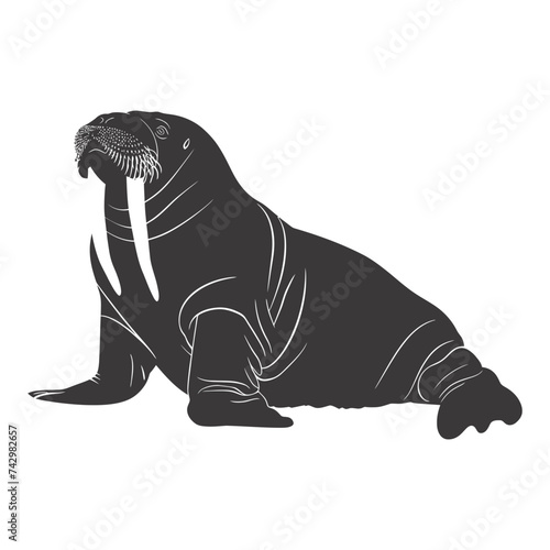 Silhouette walrus animal black color only full body