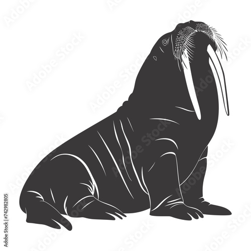 Silhouette walrus animal black color only full body
