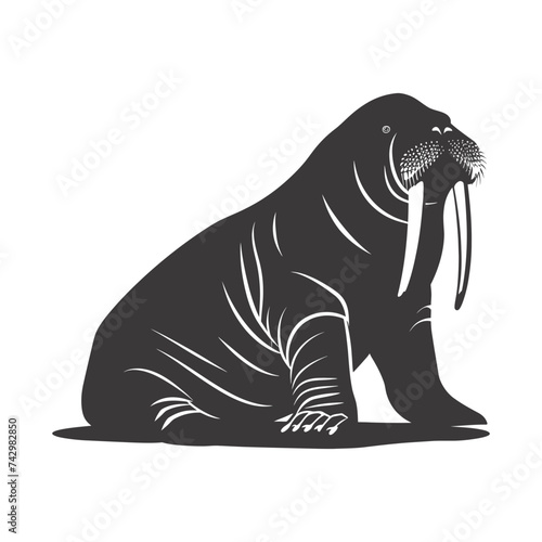 Silhouette walrus animal black color only full body