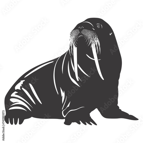 Silhouette walrus animal black color only full body