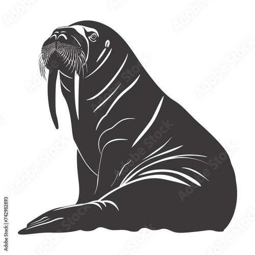 Silhouette walrus animal black color only full body