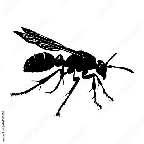 Silhouette wasp animal black color only full body