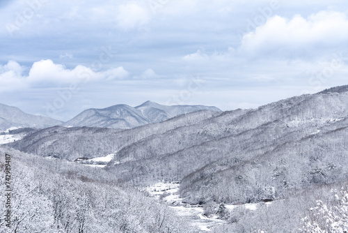 겨울 풍경