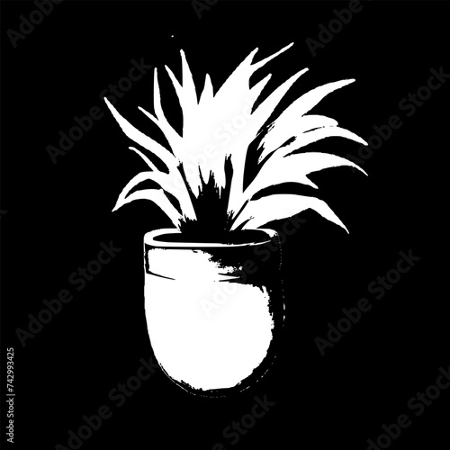 plant in a vase