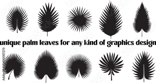 palm leaf vector free download for any kind of graphic design