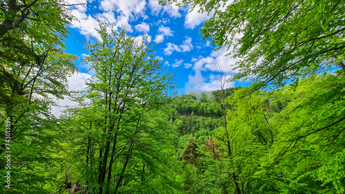 Konstfotografi Idyllic hiking trail through lush green forest in Grazer Bergland, Prealps East of the Mur, Styria, Austria