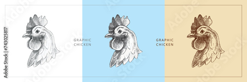 Three sketch drawings of a chicken's head. Pencil drawing on paper and contour drawing in vintage style. Farm birds, wildlife. Hand-drawn.