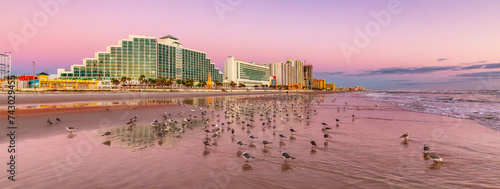 Birds on the sandy beach with Buildings in the background. Bibrant sunrise. photo