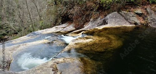 river flowing into the forest