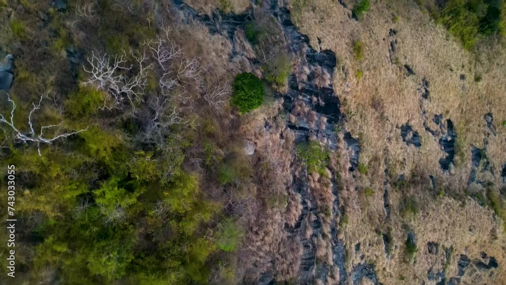Cinematic view of uninhabited island coast with trees, dried grass and black rocky stones surrounded by mysterious dramatic atmosphere Cinematic view of uninhabited island coast with trees, dried grass and black rocky stones surrounded by mysterious dramatic atmosphere
