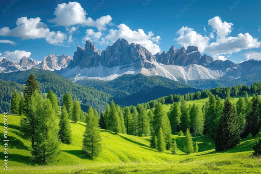 Landscape meadow in the mountains with blue sky