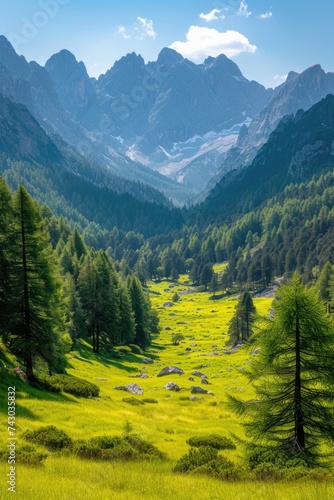 Landscape meadow in the mountains with blue sky © Landscape Planet