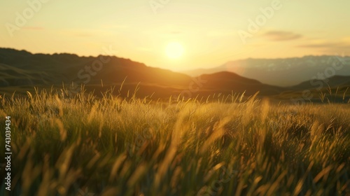 Landscape image of sunset grass in summer Landscape of mountains with grass in the foreground Landscape for posters, billboards