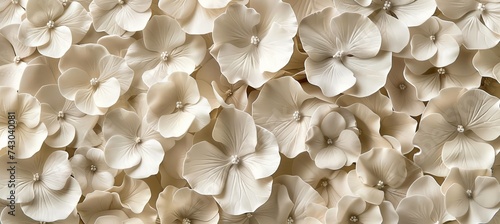 Tranquil abstract flower petals in soft pastel beige minimalist aesthetic beauty