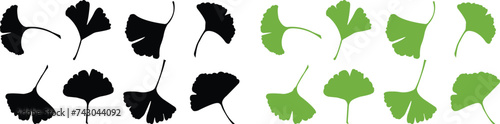 Cartoon flat ginkgo biloba leaf silhouette icon set isolated on transparent background. Nature eco green and black vector collection. Leaflet organic leaves cosmetics and medical plant icon