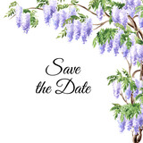 Wisteria  blossom save the date invitation or greeting card, Hand  drawn watercolor  illustration, isolated on white background