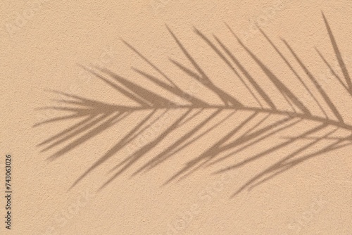 overlay effect shadow of palm leaf on brown wall. shadow of palm leaf on   brown wall  