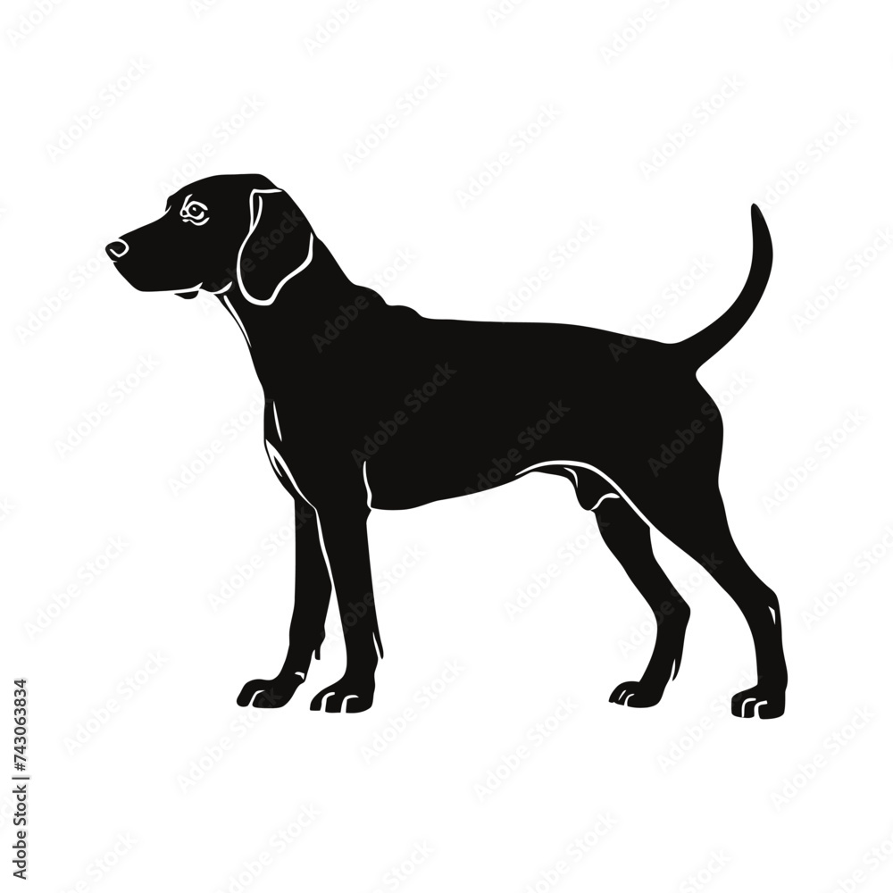Fototapeta premium Dog Silhouette