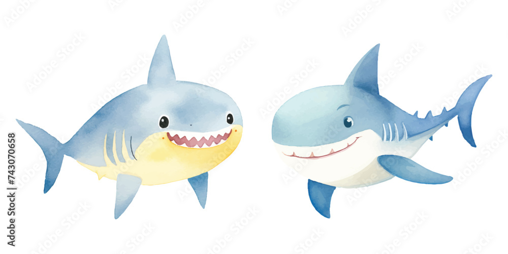 cute Shark watercolor illustration cute Shark watercolor illustration