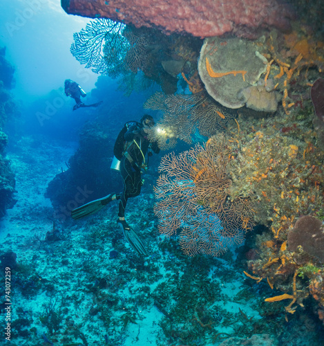 Scuba Diving Cozumel, Mexico and Pompano Beach, Florida © Richard