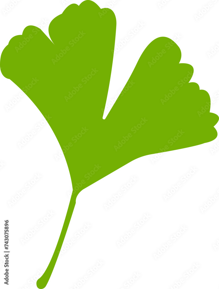 Cartoon flat ginkgo biloba leaf silhouette icon isolated on transparent background. Nature eco green vector. Leaflet organic leaves cosmetics and medical plant icon Cartoon flat ginkgo biloba leaf silhouette icon isolated on transparent background. Nature eco green vector. Leaflet organic leaves cosmetics and medical plant icon