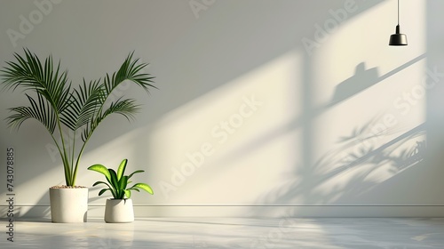 Minimalist indoor plants in sunlight, simple modern decor. white space and natural shadows. elegant interior design for peace and tranquility. AI © Irina Ukrainets