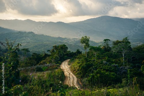coffee area landscape in colombia