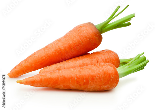 Ripe carrot vegetables isolated on white background