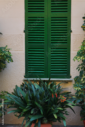 Fototapeta Naklejka Na Ścianę i Meble -  Potted greenery on the street outside the houses. A sand colored house with green shutters. Spain, Majorca.