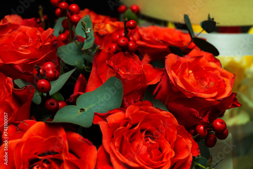Macro of red and orange roses with red berries on a blurred background. The concept of love. Women's day