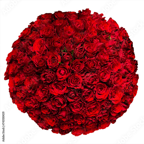 Isolated bouquet of red roses on a white background. The concept of love. Texture, women's day