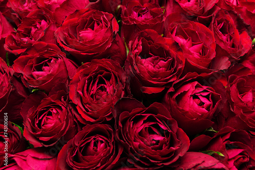 Background with close-up of red roses. Concept of love. Top view, Women's Day