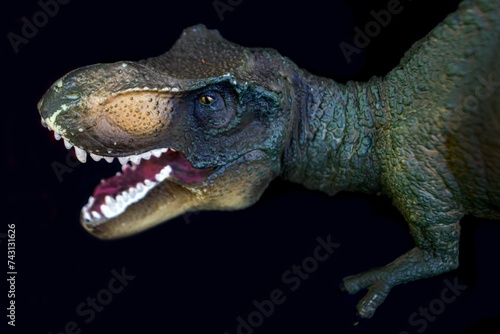 Tyrannosaurus dinosaurs toy