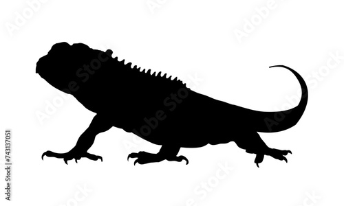 lizard silhouette - vector illustration © KR Studio