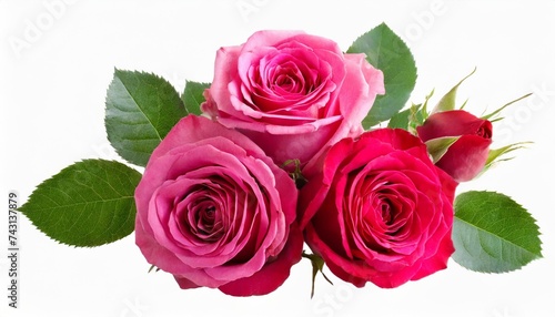 bouquet of three bright beautiful pink roses with buds and green leaves on a white isolated background