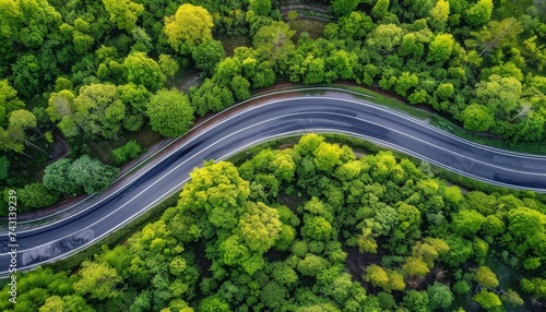 Aerial top view showcasing a scenic winding road amidst a lush green forest during the rainy season © Andrei
