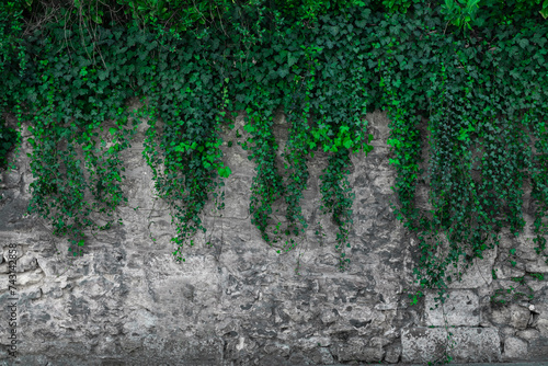 Photo of a fragment of an ancient stone wall, covered with green plants on top