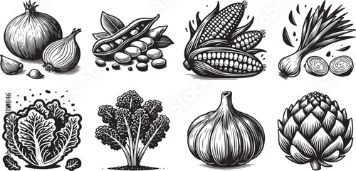 set of vegetables, onion, peas, corn, cabbage, artichoke photo