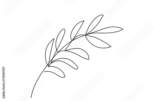 Continuous one line drawing of branch with leaves. Line art. Olive branch. Plant. Concept of peace, organic element. White backdrop. Design element for print, postcard, scrapbooking, coloring book.